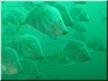 img_1817-