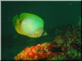 img_1830-
