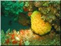 img_1834-
