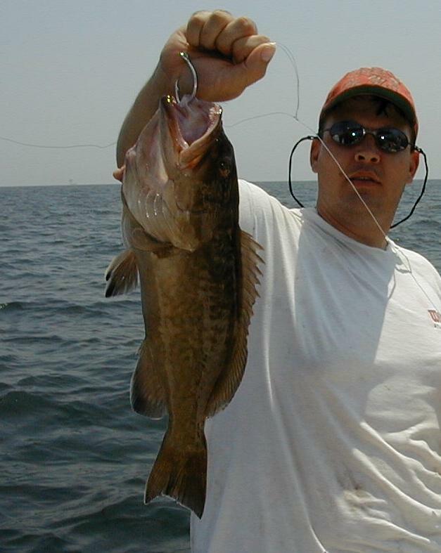 30_Casey_Grouper