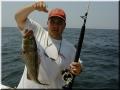 18_Casey_Grouper