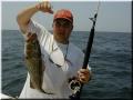 18_Casey_Grouper_sm