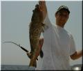 23_Francis_Grouper