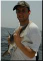 25_Francis_Shark