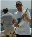 26_Francis_Shark