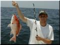 28_Francis_Snapper