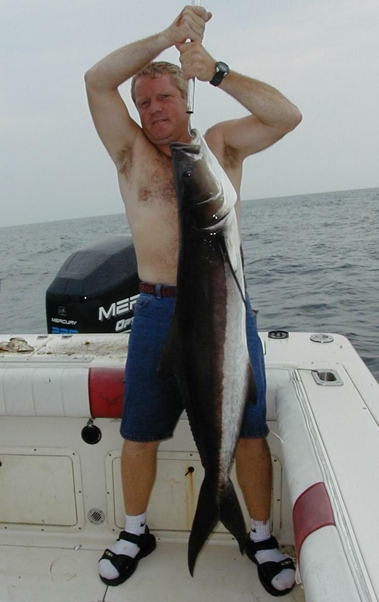 12_Jimmy_Cobia