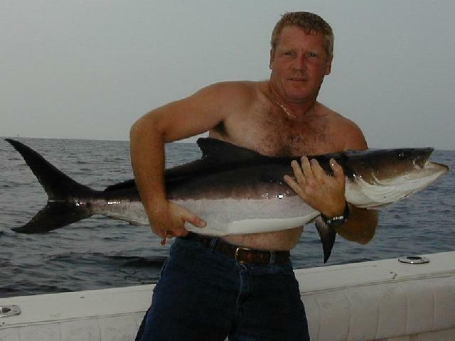 16_Jimmy_Cobia_640