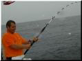 03_Roy_Hookup