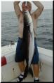 13_Jimmy_Cobia