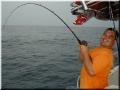 21_Roy_BaitCatcher