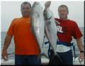 36_Roy_Jimmy_AJs