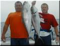 36_Roy_Jimmy_AJs_SM